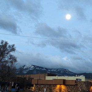 Meet your Posher, Ben